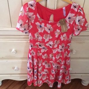 Francesca’s collection